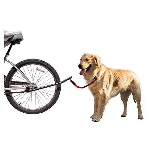 cycle dog leash